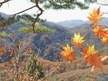 宁夏石嘴山市卫生健康委员会原副主任钱丽接受审查调查|界面新闻 · 快讯